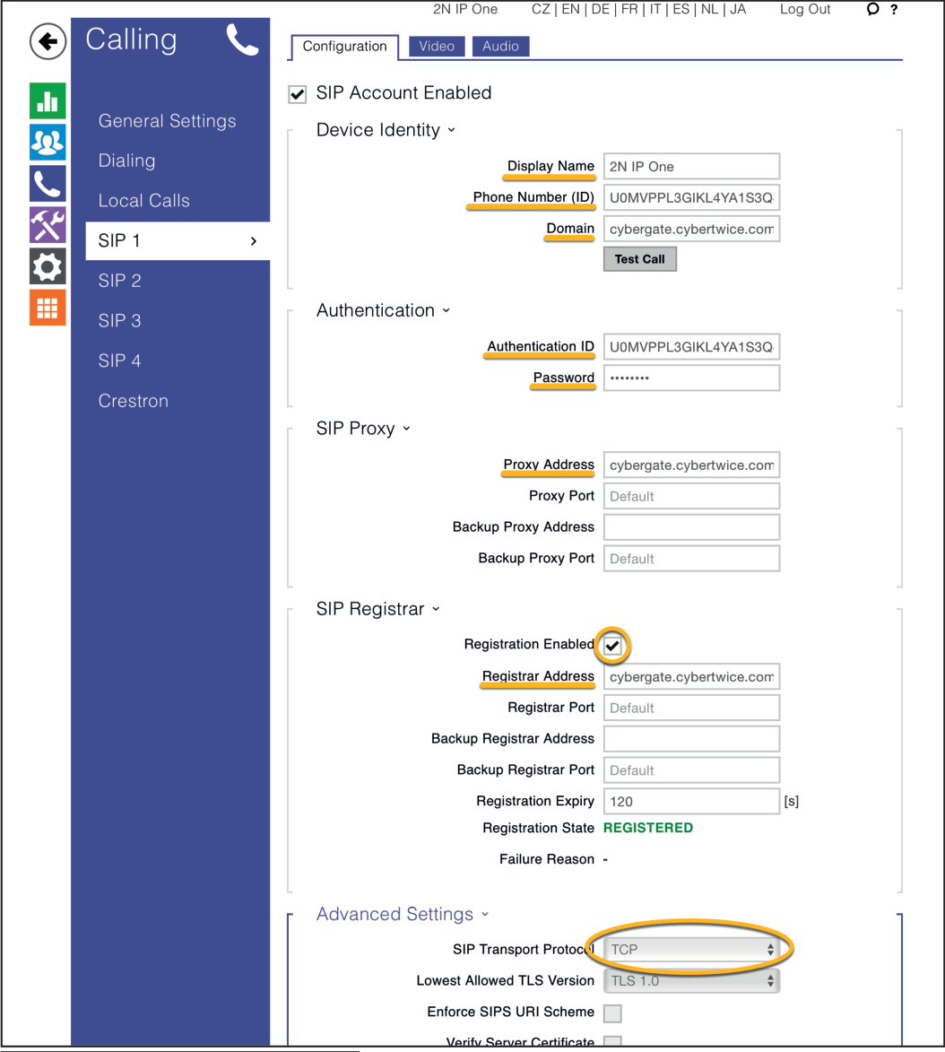 2N Services Menu - Configured (TCP)
