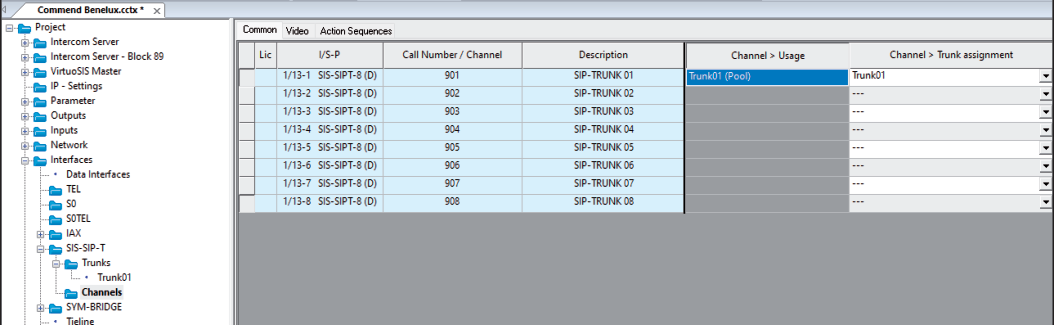 VirtuoSIS - Channel Common Settings