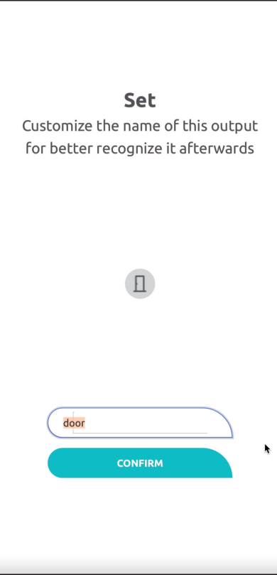 IpDoor Function Type Selection - Step 2